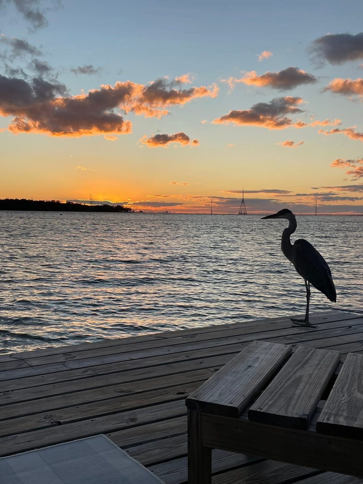 A heron standing at the edge of a wooden dock at sunset, a wooden bench in the foreground, and open water with towers on the horizon.