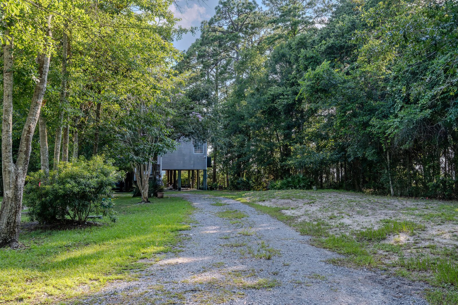 A gravel driveway running through dense woods, with the house on pilings just visible at the end.